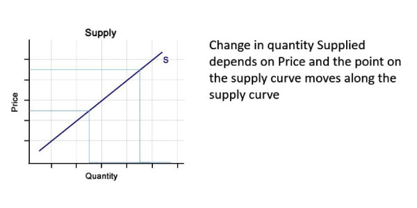 Describe the demand and supply function. - My Library 24
